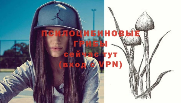 альфа пвп Надым