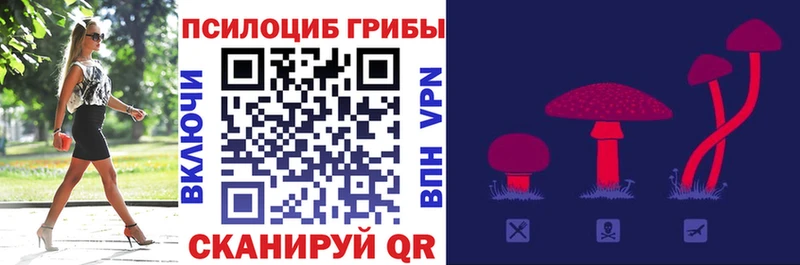 даркнет сайт  Нововоронеж  Псилоцибиновые грибы GOLDEN TEACHER 
