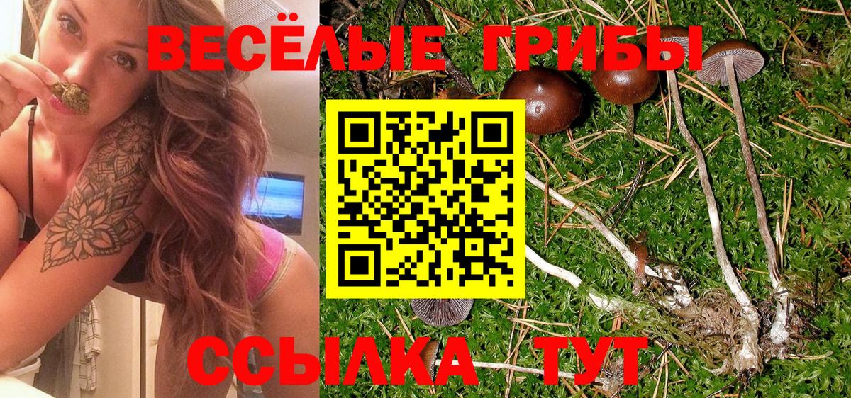 Нововоронеж  Галлюциногенные грибы Magic Shrooms  Вход с VPN 