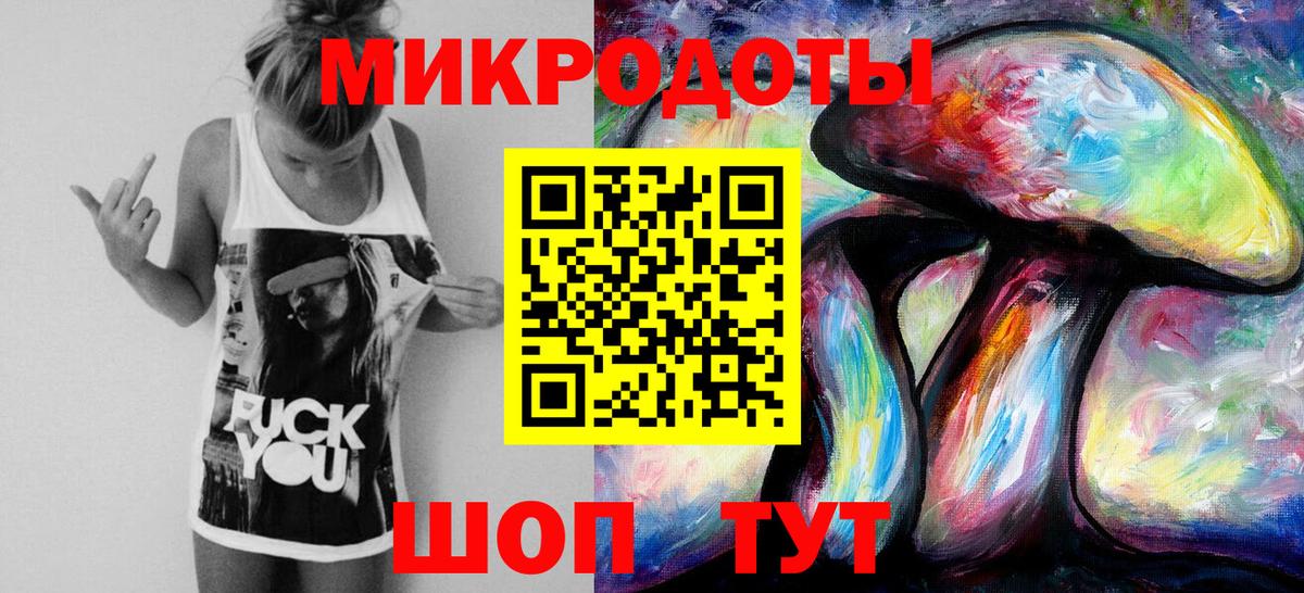 Псилоцибиновые грибы Psilocybe Нововоронеж